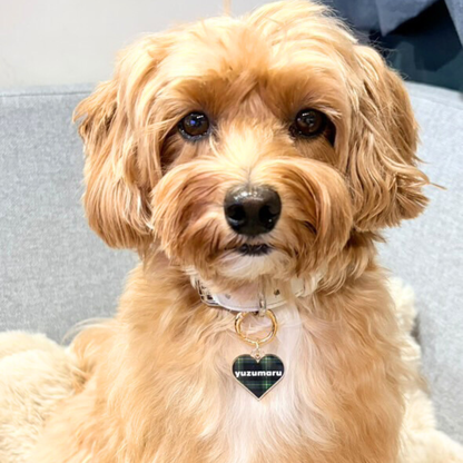 omamori charm – ハート〈チェック〉