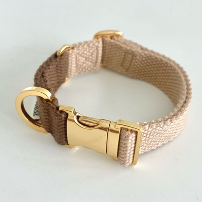 palette collar〈ツートーンA〉