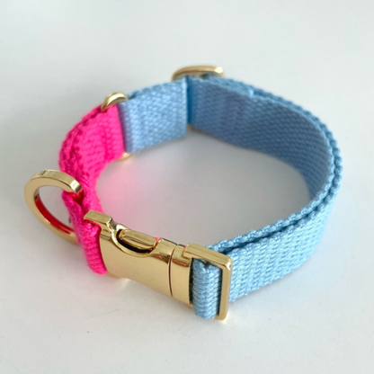 palette collar〈ツートーンA〉