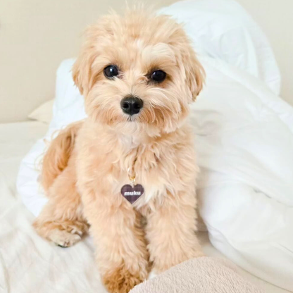 omamori charm – ハート〈チェック〉