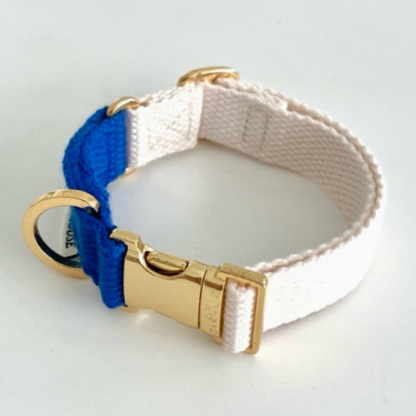 palette collar〈ツートーンA〉