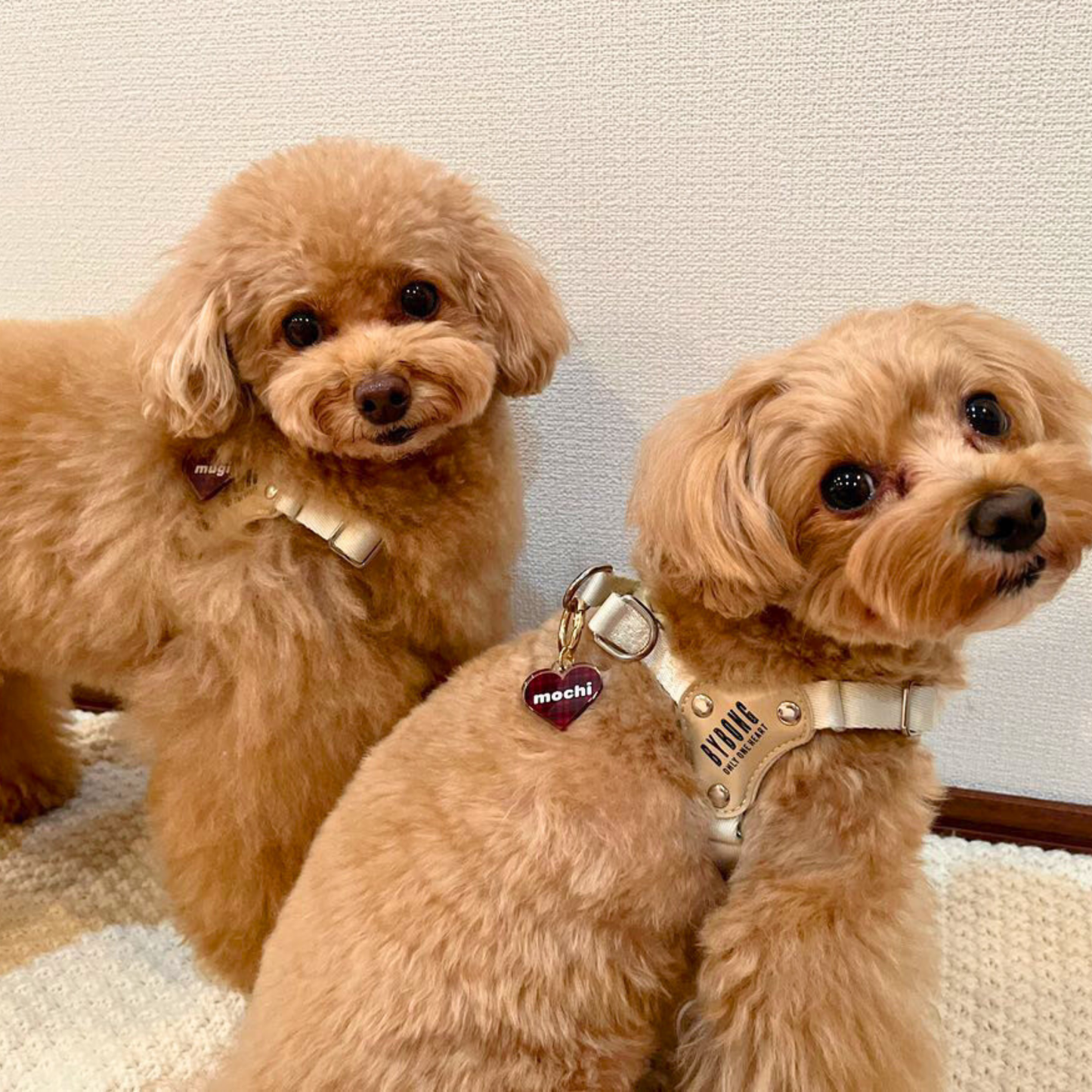 omamori charm – ハート〈チェック〉