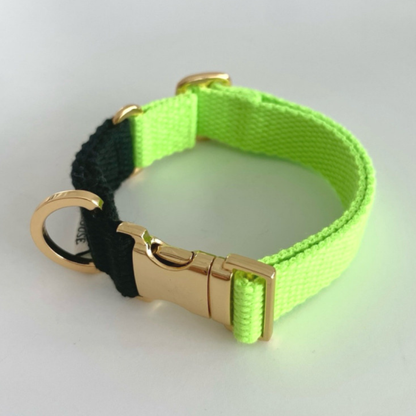 palette collar〈ツートーンA〉