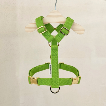 palette harness〈ソフト＆クリア〉