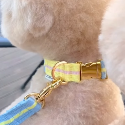 lollipop collar〈ツートーン〉