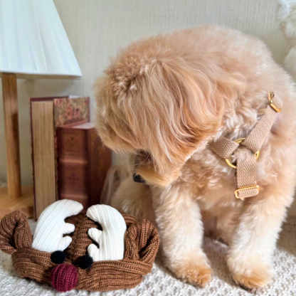 palette harness〈アース〉