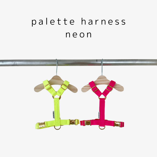 palette harness〈ネオン〉