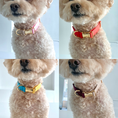 palette collar〈ツートーンA〉