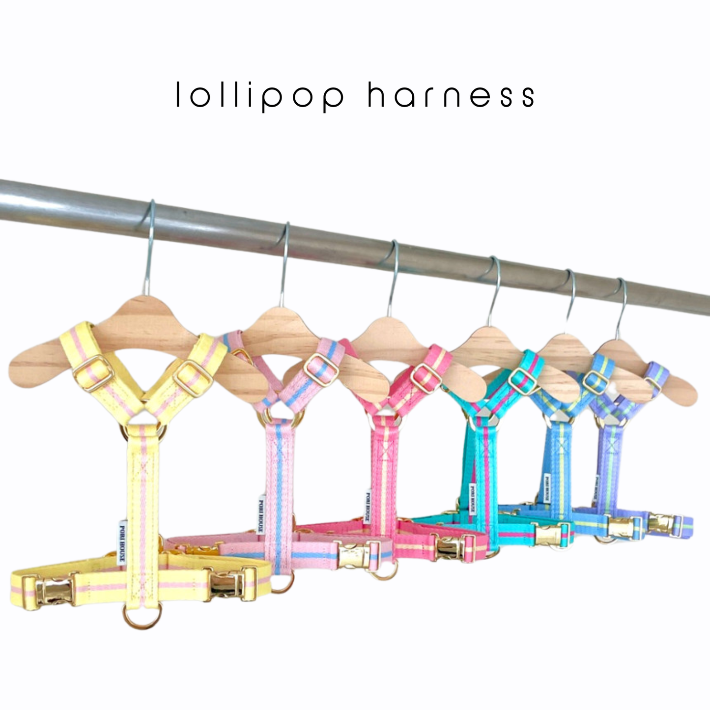 lollipop harness