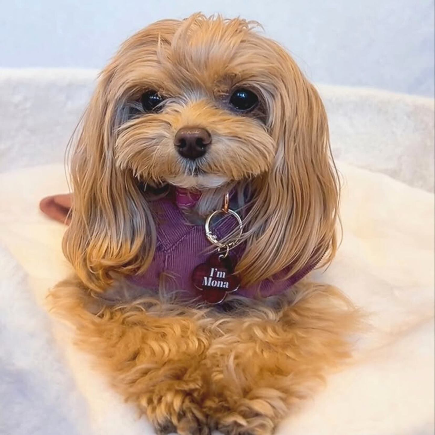 omamori charm – フラワー〈チェック〉