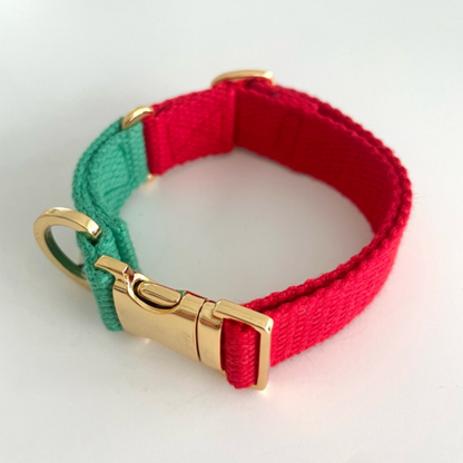 palette collar〈ツートーンA〉