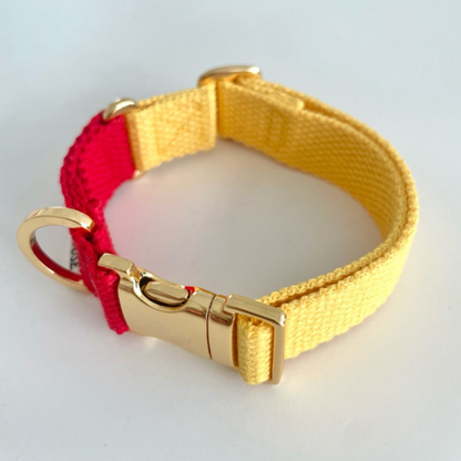 palette collar〈ツートーンA〉