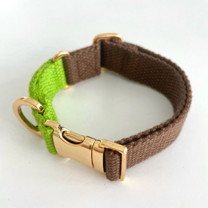 palette collar〈ツートーンA〉