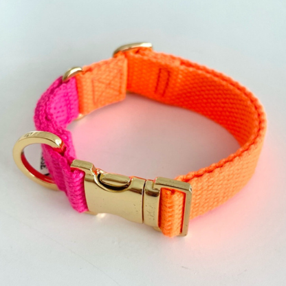 palette collar〈ツートーンA〉