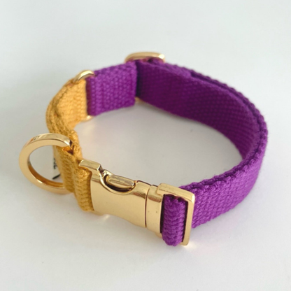 palette collar〈ツートーンA〉