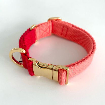 palette collar〈ツートーンA〉