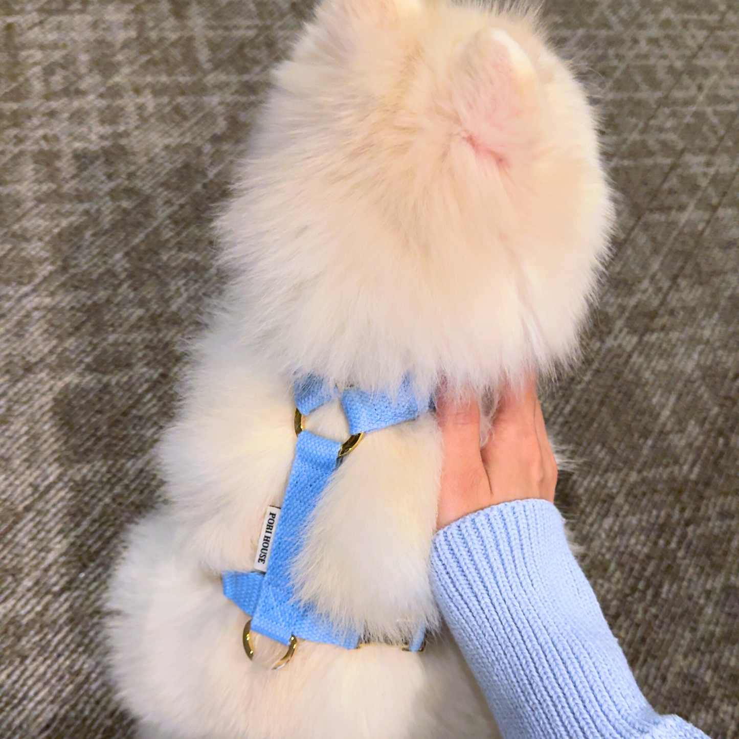 palette harness〈ソフト〉