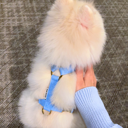 palette harness〈ソフト〉