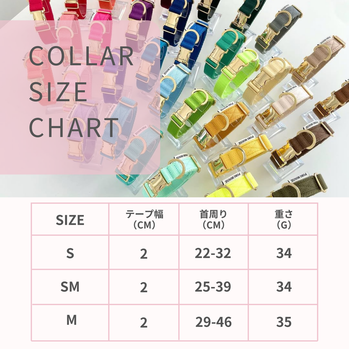 palette collar〈サマー〉