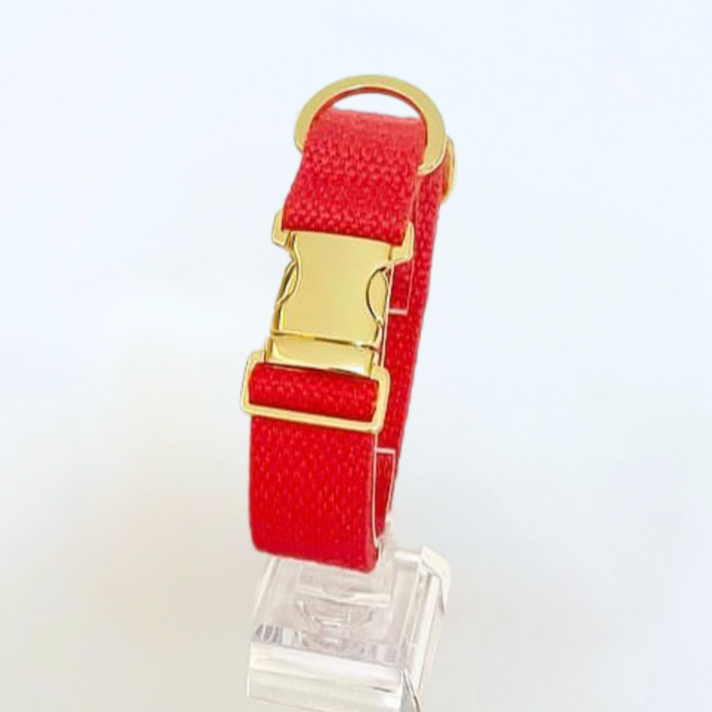palette collar〈ソフト＆クリア〉