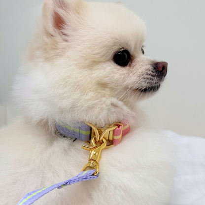 lollipop collar〈ツートーン〉