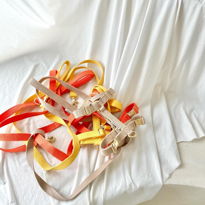 palette leash〈ウォーム〉