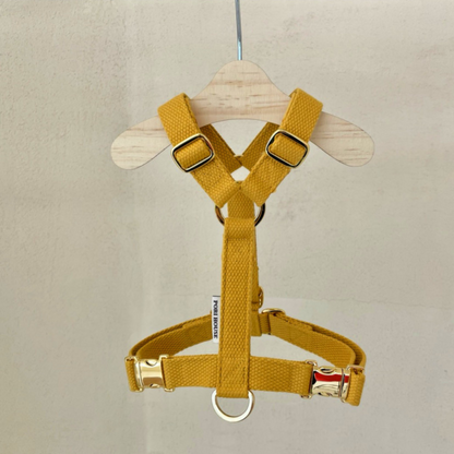 palette harness〈ソフト＆クリア〉