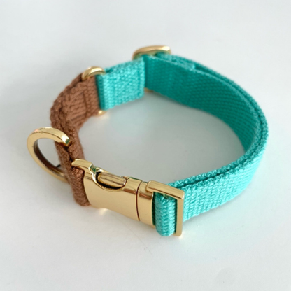 palette collar〈ツートーンB〉