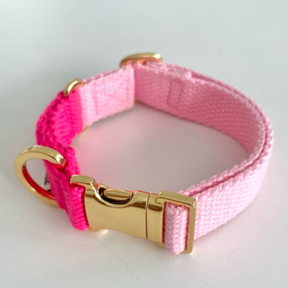 palette collar〈ツートーンB〉