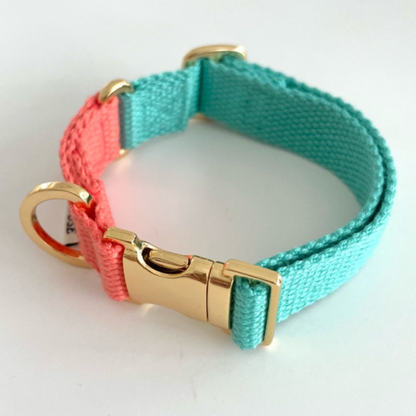 palette collar〈ツートーンB〉