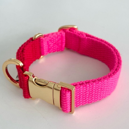 palette collar〈ツートーンB〉