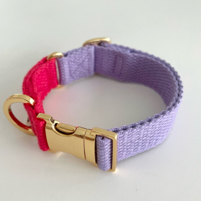 palette collar〈ツートーンB〉