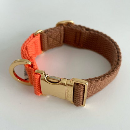 palette collar〈ツートーンB〉