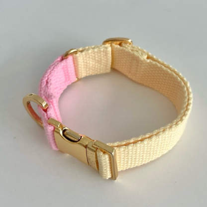 palette collar〈ツートーンB〉