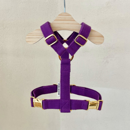 palette harness〈ソフト＆クリア〉