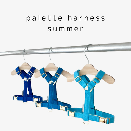 palette harness〈サマー〉