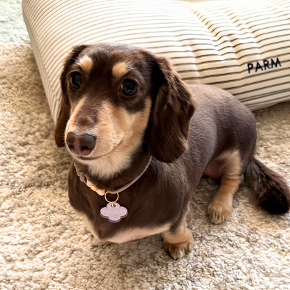 omamori charm – フラワー〈ペールカラー〉