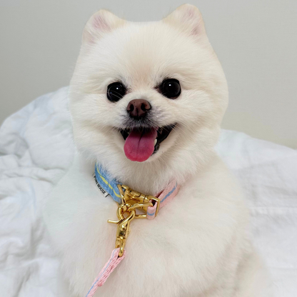 lollipop collar〈ツートーン〉