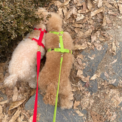 palette leash〈ネオン〉