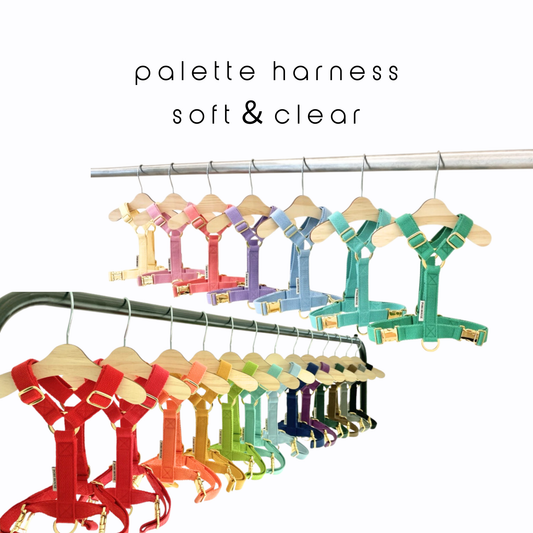 palette harness〈ソフト＆クリア〉
