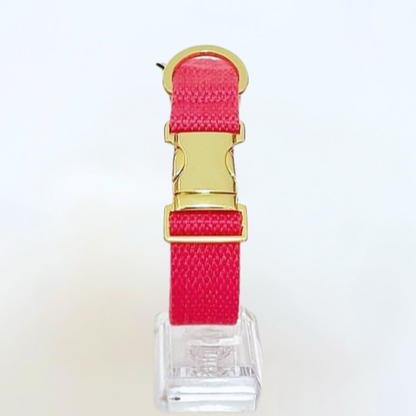 palette collar〈ソフト＆クリア〉