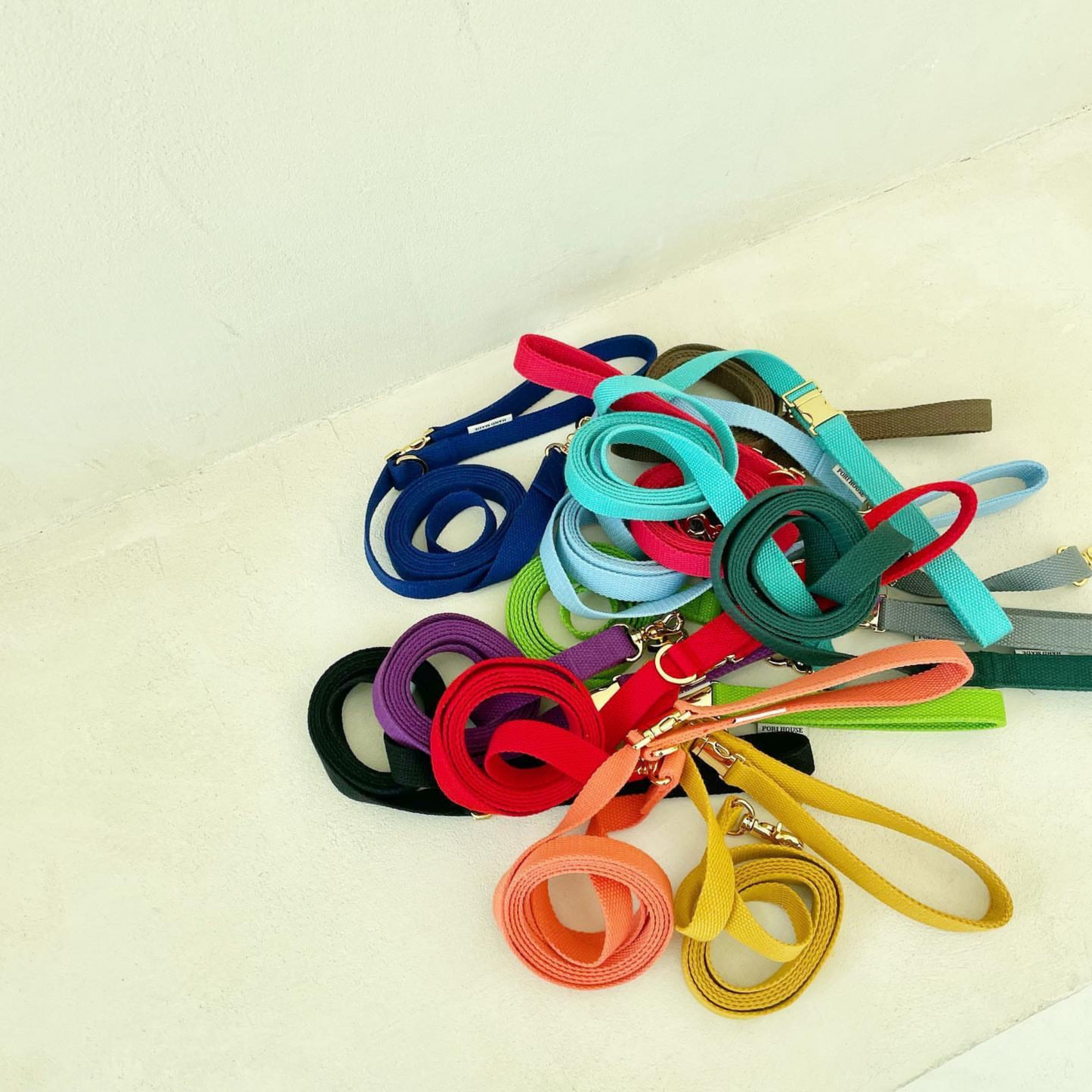 palette leash〈グリーン・ベーシック系〉