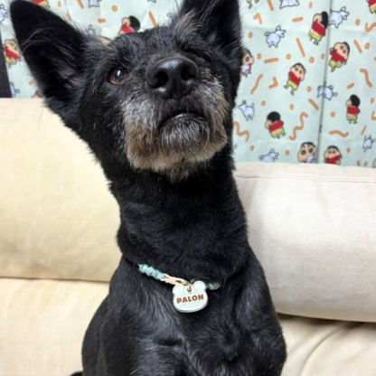 omamori charm – くま〈ベーシックカラー〉