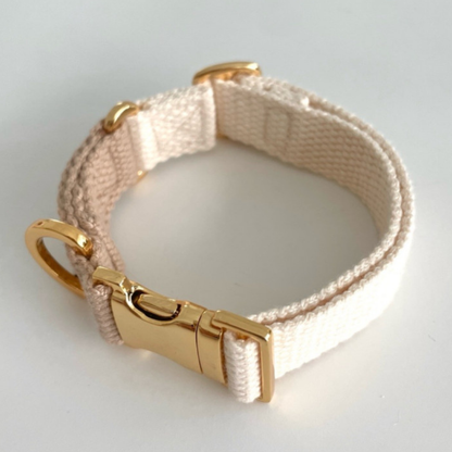 palette collar〈ツートーンB〉