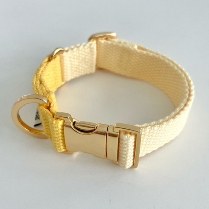 palette collar〈ツートーンB〉