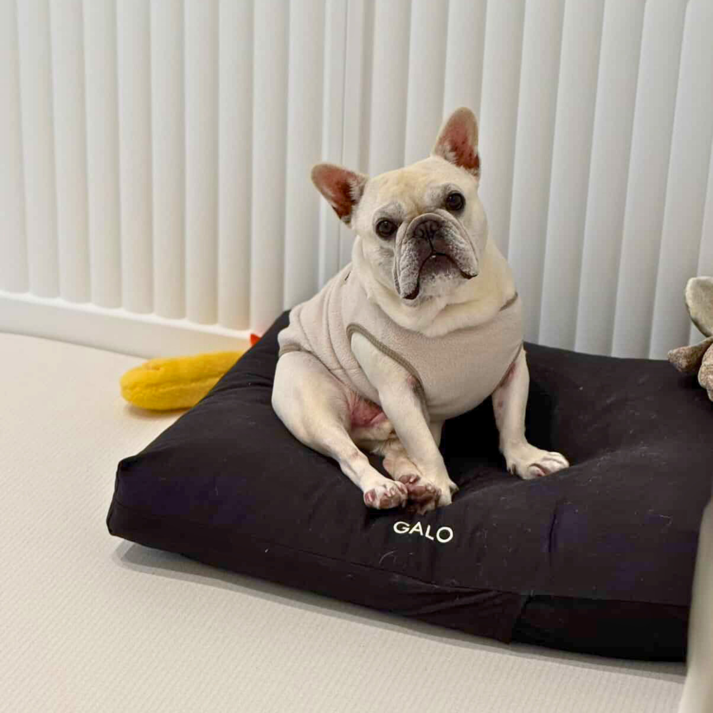 ofuton bed