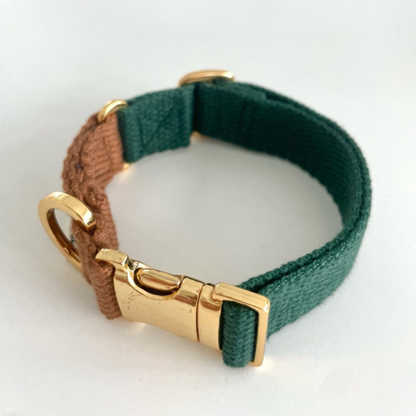 palette collar〈ツートーンB〉