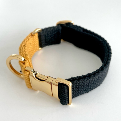 palette collar〈ツートーンB〉