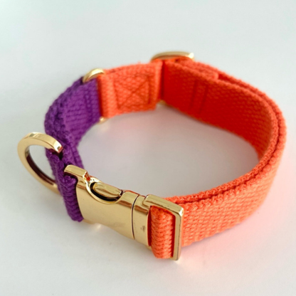 palette collar〈ツートーンB〉