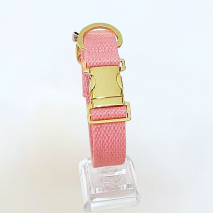 palette collar〈ソフト＆クリア〉